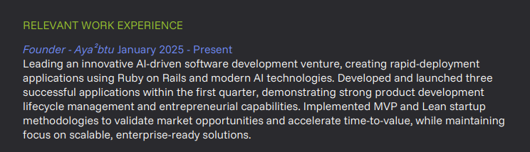 Generated PDF page 2 illustration - Work Experience